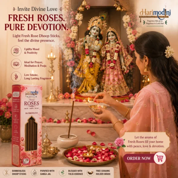 Indian woman in puja room with Harimodini Fresh Rose dhoop sticks, burning Fresh Rose dhoop and Radha Krishna idol.