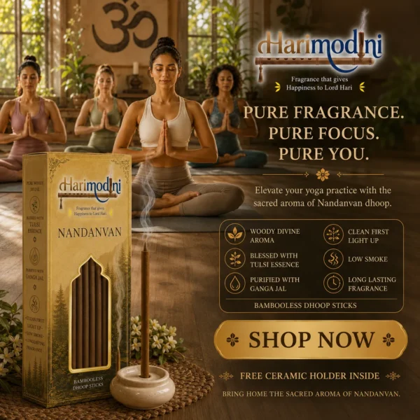 Harimodini Nandanvan bamboo-less dhoop sticks with ceramic holder in yoga center for focus, meditation and calm fragrance