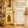Harimodini Tirupati Sandal bambooless dhoop sticks in yoga studio with meditation, burning dhoop stick, sandalwood aroma, and wellness CTA.